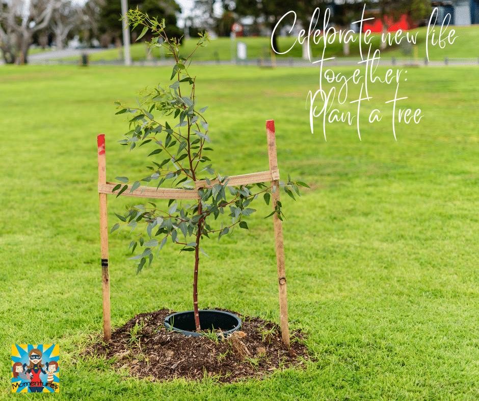Celebrate new life - plant a tree