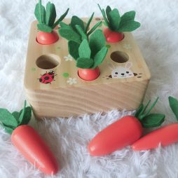 Montessori Shape Matching Learning Toy for Kids