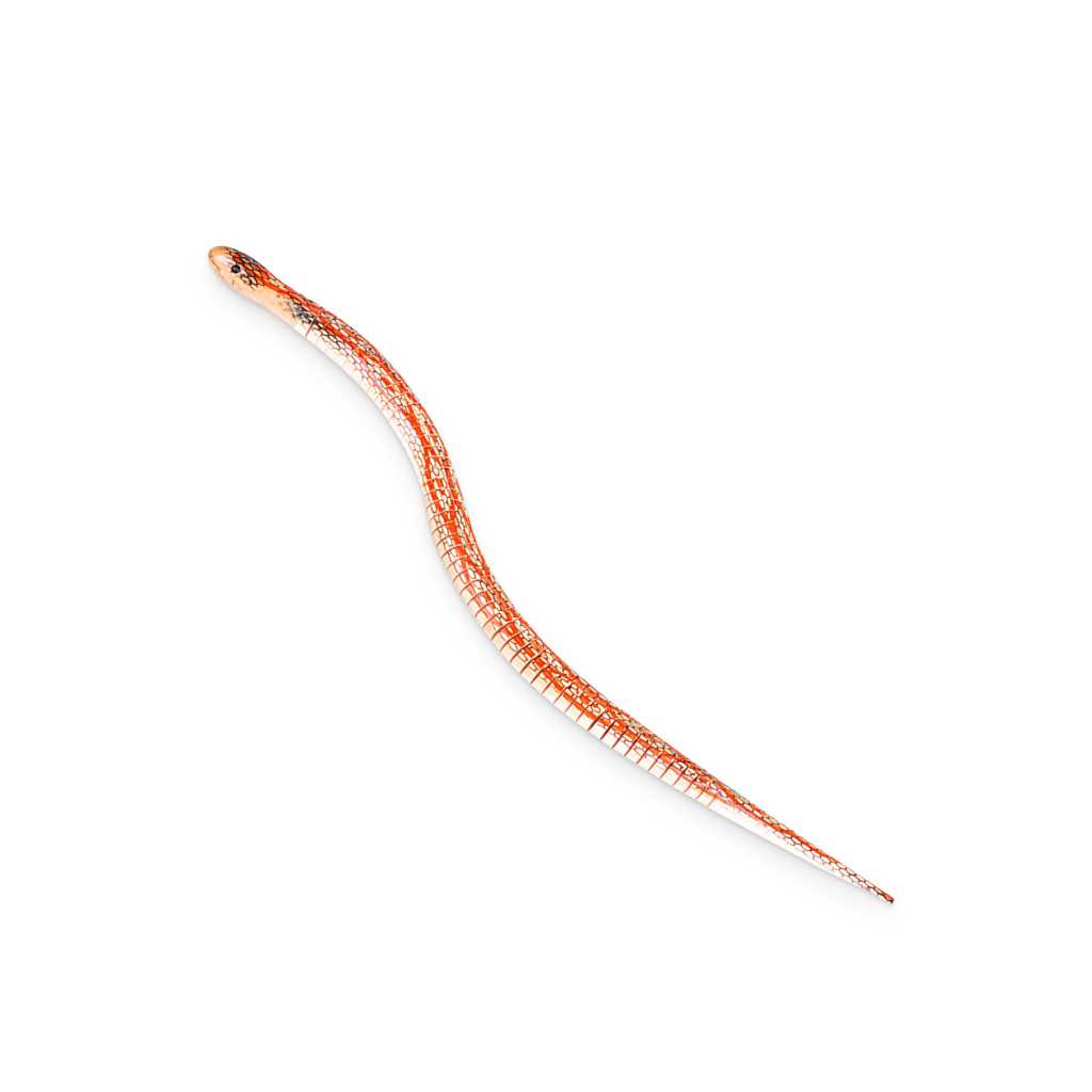 Wooden Snake Tricky Toy - Image 2