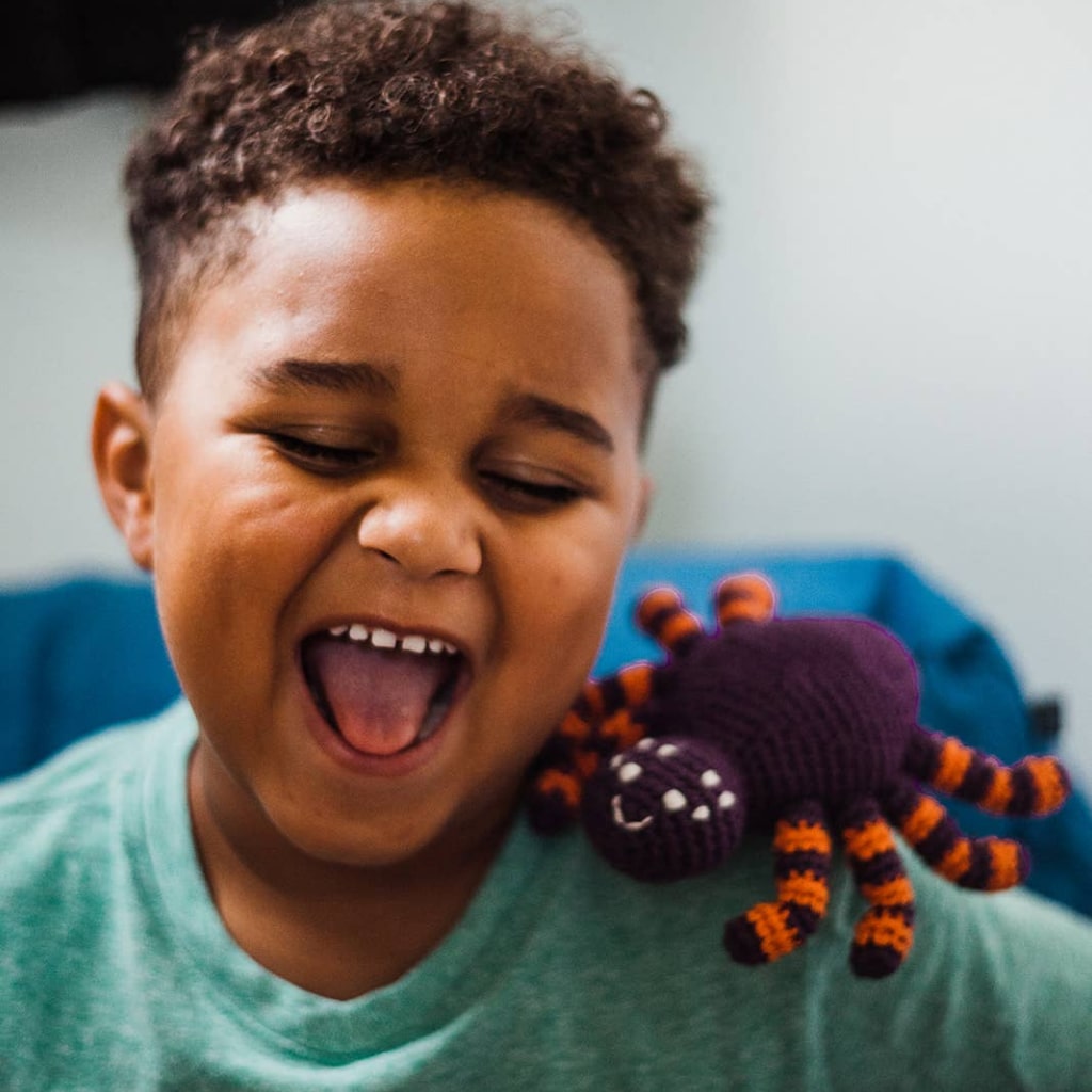Spider Rattle - Image 4