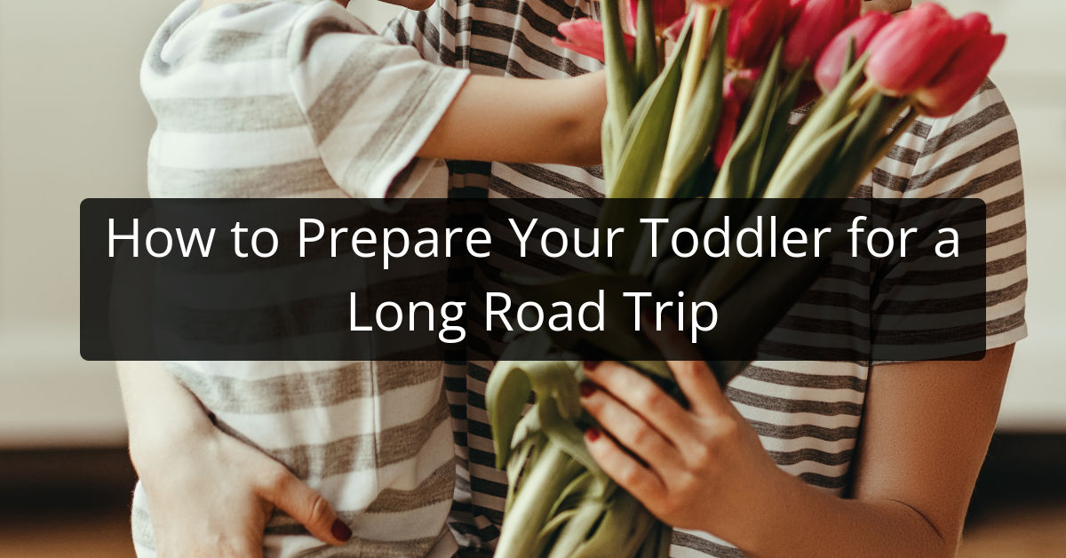 How to Prepare Your Toddler for a Long Road Trip